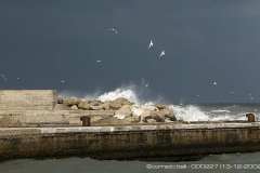 000227-13-12-2002-©-corrado-belli