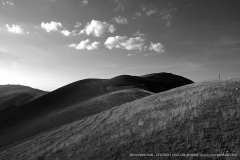 000591-22-08-2004-©-corrado-belli