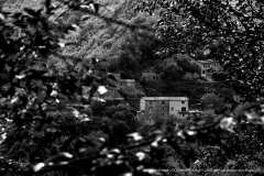 000695-03-10-2004-©-corrado-belli