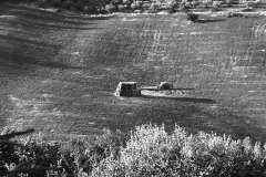 000933-11-06-2005-©-corrado-belli