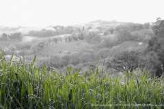 001026-19-09-2005-©-corrado-belli