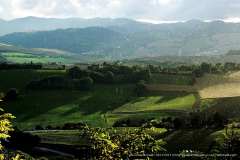 001031-04-10-2005-©-corrado-belli