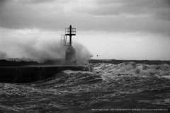 001064-23-01-2006-©-corrado-belli