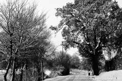 002904-19-12-2009-©-corrado-belli