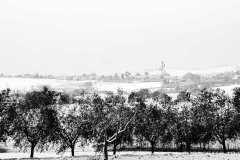 002905-19-12-2009-©-corrado-belli