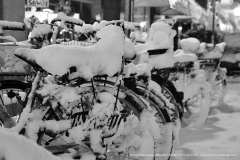 002914-31-01-2010-©-corrado-belli