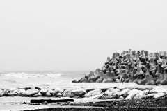 002972-05-04-2010-©-corrado-belli