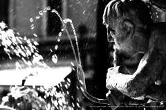 003294-07-03-2011-©-corrado-belli