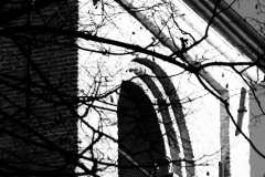 004213-06-01-2012-©-corrado-belli