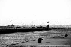 004224-06-01-2012-©-corrado-belli