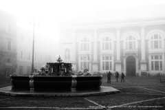 004231-20-01-2012-©-corrado-belli
