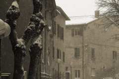 004246-04-02-2012-©-corrado-belli