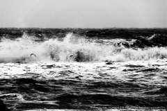 004264-04-02-2012-©-corrado-belli
