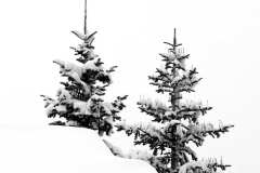 004328-12-02-2012-©-corrado-belli