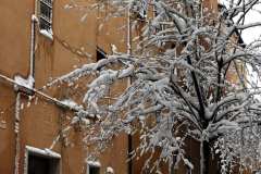 004333-12-02-2012-©-corrado-belli
