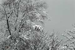 004335-12-02-2012-©-corrado-belli