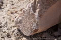 004372-15-03-2012-©-corrado-belli