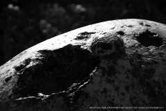 005432-09-12-2012-©-corrado-belli