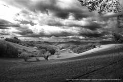 005562-31-03-2013-©-corrado-belli