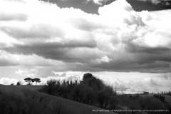 005566-31-03-2013-©-corrado-belli