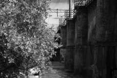 005787-30-05-2013-©-corrado-belli
