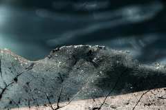 006485-30-09-2014-©-corrado-belli