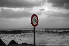 006858-31-12-2014-©-corrado-belli