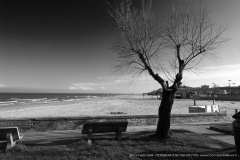 006904-02-02-2015-©-corrado-belli