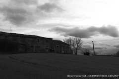 006928-03-02-2015-©-corrado-belli