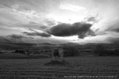 006931-03-02-2015-©-corrado-belli