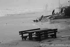 006939-06-02-2015-©-corrado-belli
