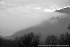 007012-24-02-2015-©-corrado-belli