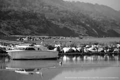 007232-08-11-2015-©-corrado-belli