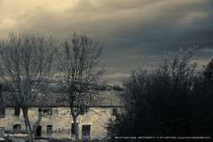 007493-11-01-2016-©-corrado-belli