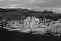 007501-11-01-2016-©-corrado-belli