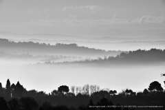007691-11-12-2016-©-corrado-belli