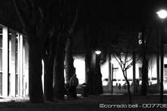 007738-05-03-2017-©-corrado-belli