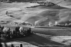007979-07-10-2017-©-corrado-belli
