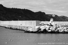 008199-10-03-2018-©-corrado-belli