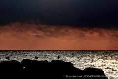 008433-02-09-2018-©-corrado-belli