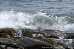 008471-07-10-2018-©-corrado-belli