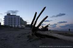 009163-11-01-2019-©-corrado-belli