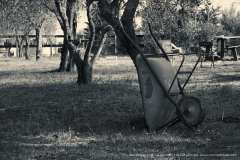 009196-19-02-2019-©-corrado-belli
