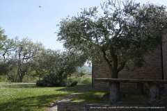 009305-25-04-2019-©-corrado-belli