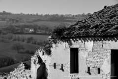 009462-02-01-2020-©-corrado-belli