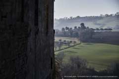 009466-02-01-2020-©-corrado-belli