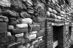 009546-01-02-2020-©-corrado-belli