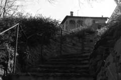 009658-08-03-2020-©-corrado-belli