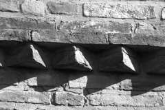 009769-29-03-2020-©-corrado-belli