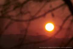 009829-03-04-2020-©-corrado-belli
